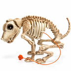12.5-inch animated Halloween skeleton dog decoration with moving jaw
