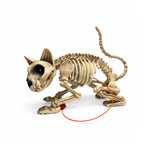 12.5" Halloween Toy Skeleton Cat